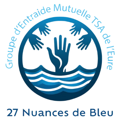 Logo 27 nuance de bleu